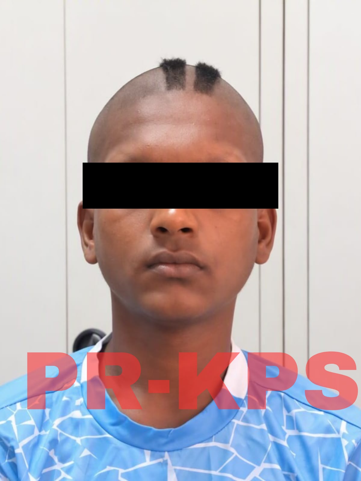 Description or Alt Text
