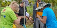 LVV start met steun FAO bestrijdingsproject tegen landbouwplagen 