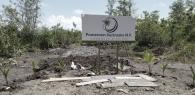 Pomeroon Suriname N.V. start mangrove rehabilitatieproject in Coronie